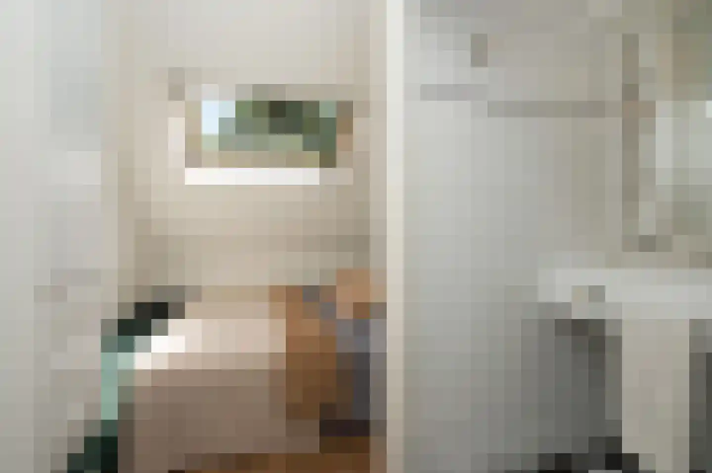Kerkenbosweg 1 Zuidwolde thumbnail 46