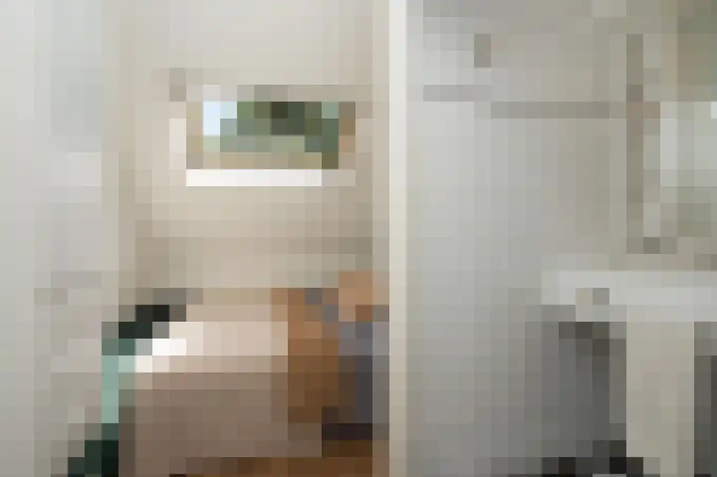 Kerkenbosweg 1 Zuidwolde thumbnail 48