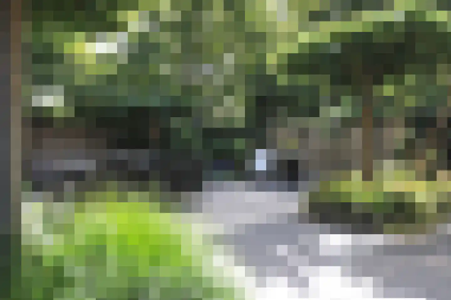 Kerkenbosweg 1 Zuidwolde thumbnail 51