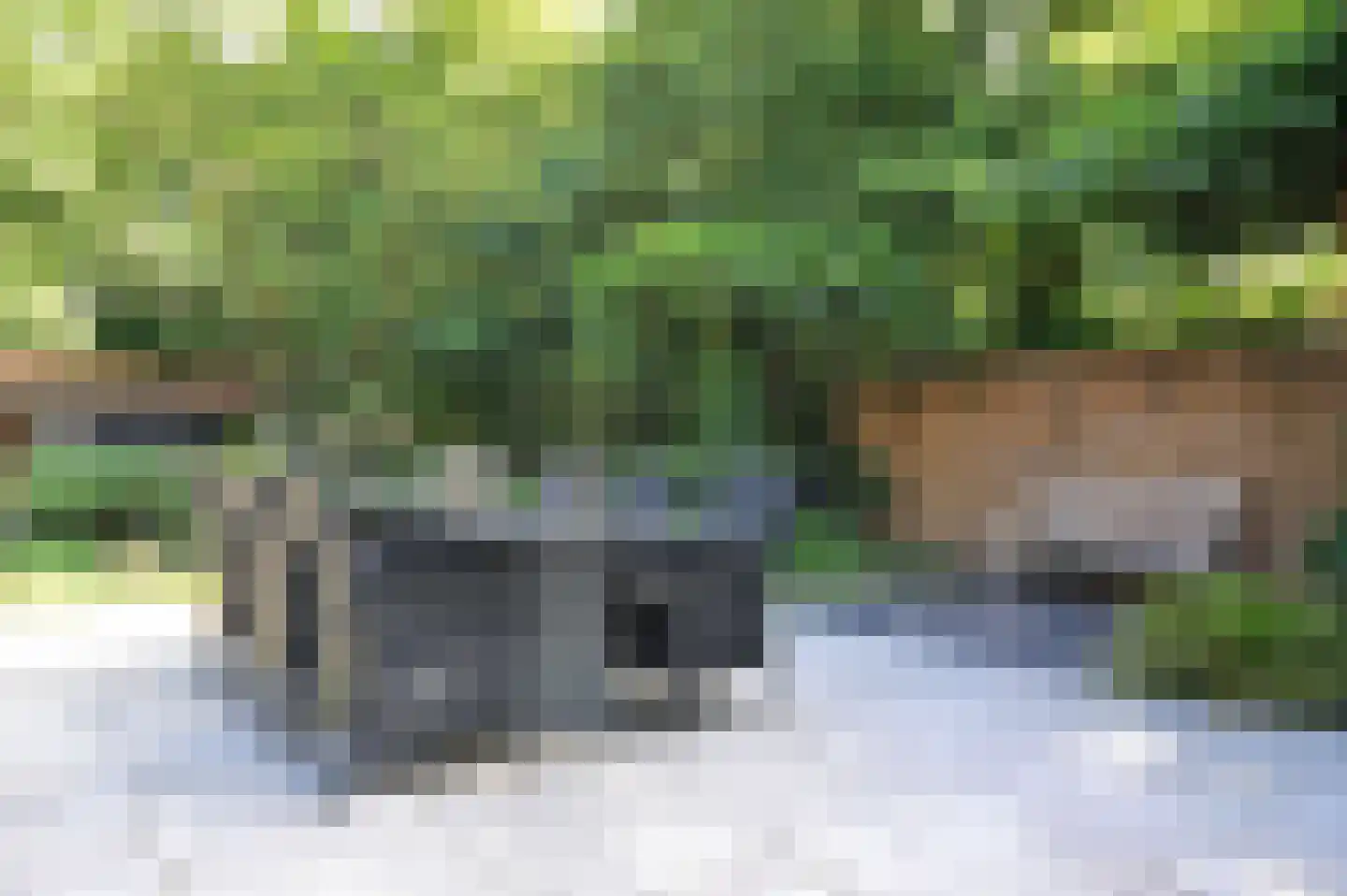 Kerkenbosweg 1 Zuidwolde thumbnail 54