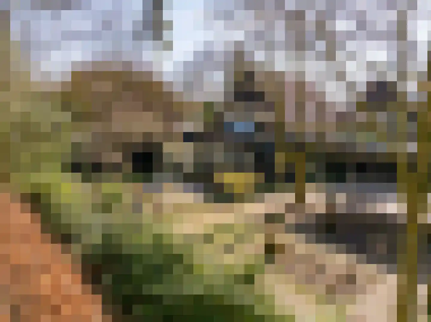Kerkenbosweg 1 Zuidwolde thumbnail 7