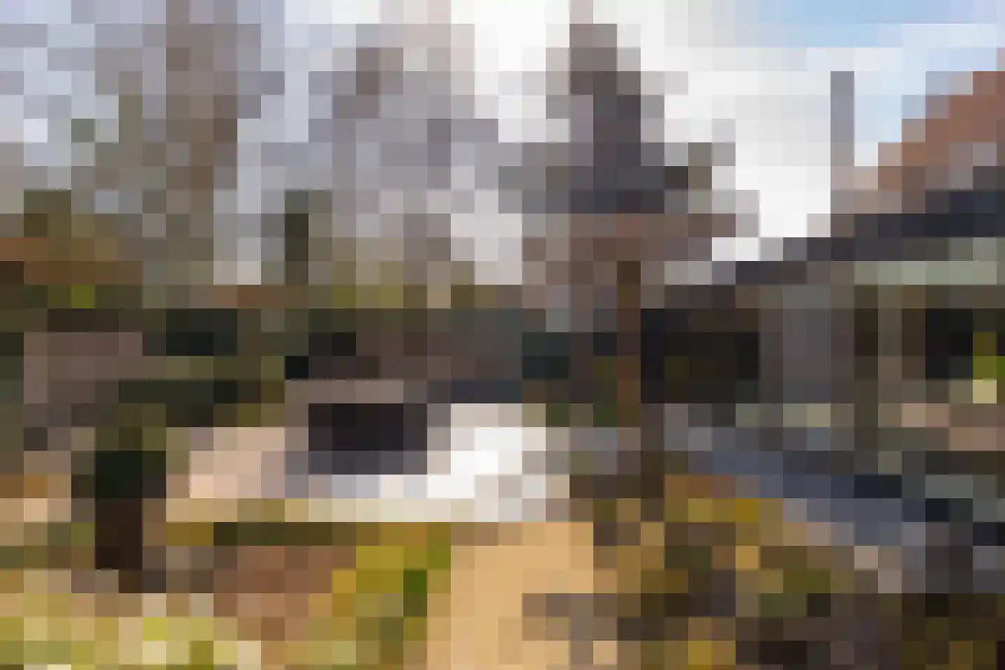 Kerkenbosweg 1 Zuidwolde thumbnail 73
