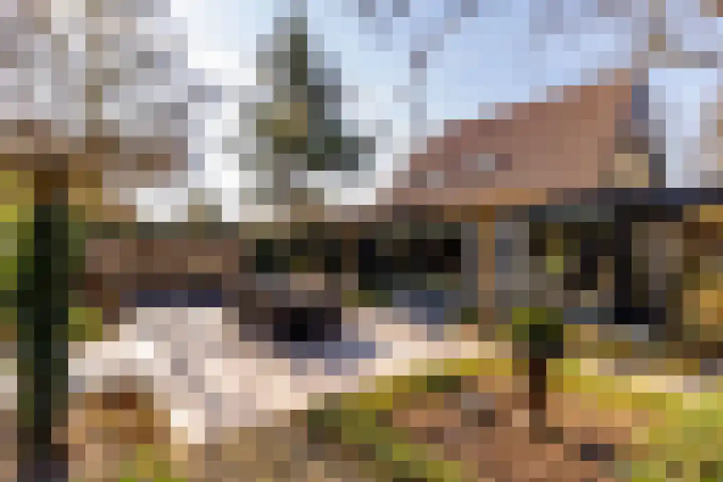 Kerkenbosweg 1 Zuidwolde thumbnail 74