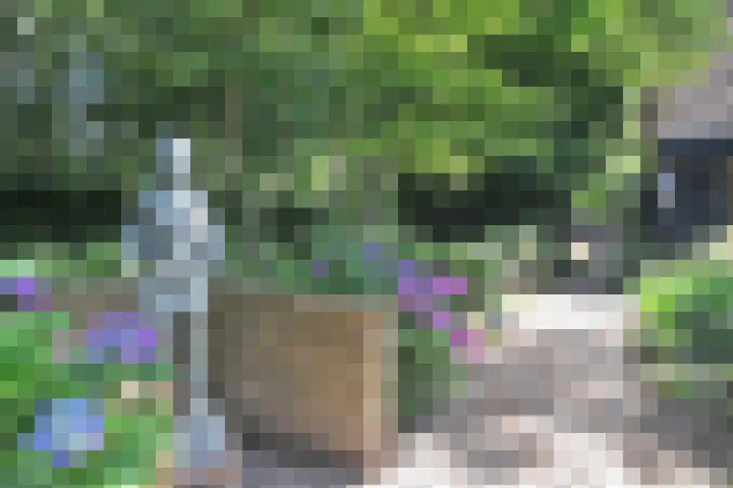 Kerkenbosweg 1 Zuidwolde thumbnail 76