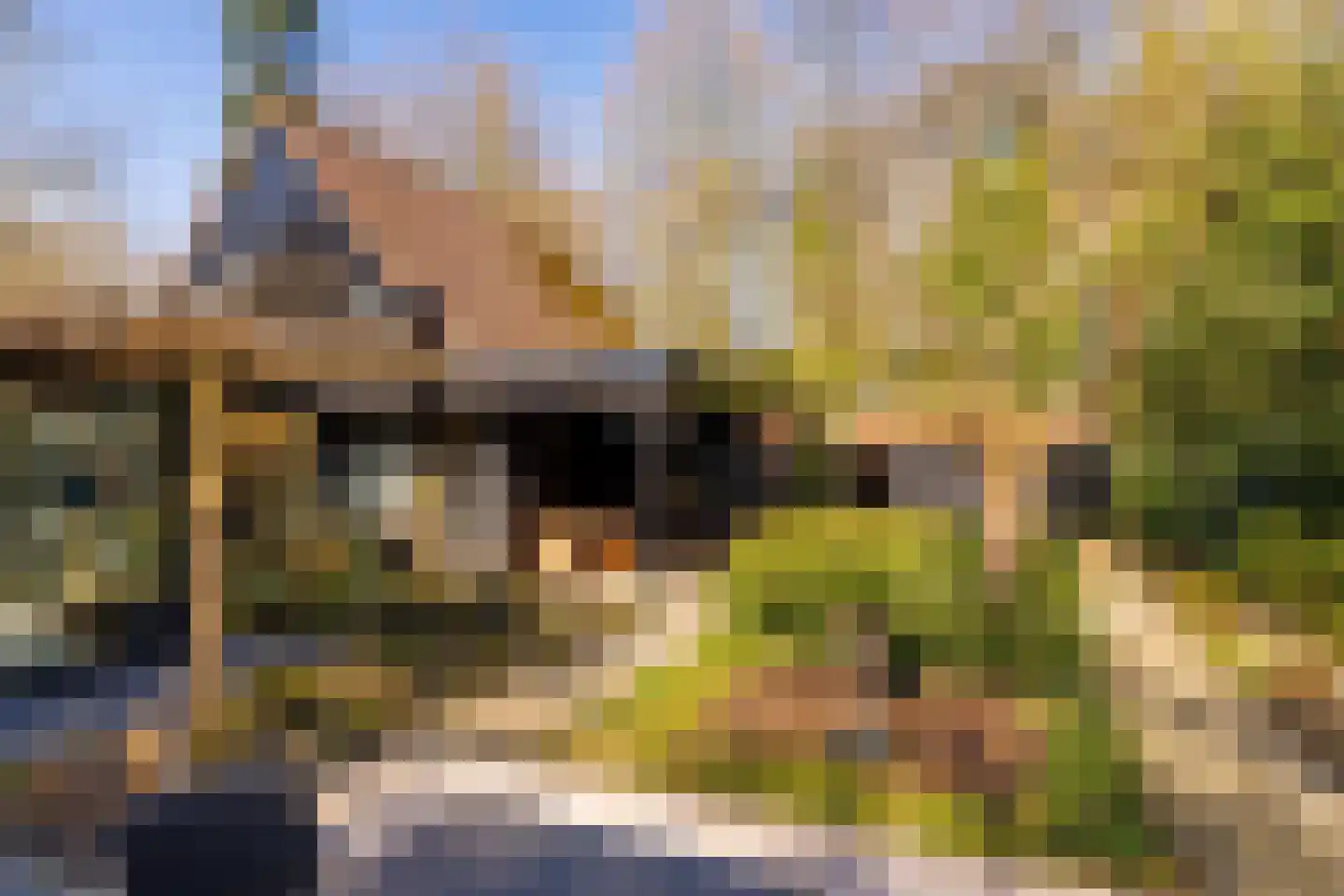Kerkenbosweg 1 Zuidwolde thumbnail 76