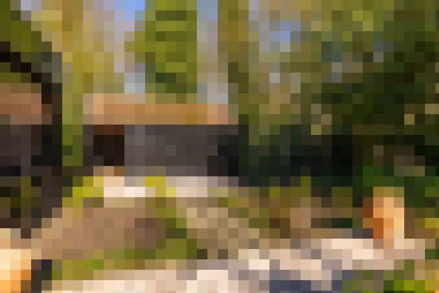 Kerkenbosweg 1 Zuidwolde thumbnail 78