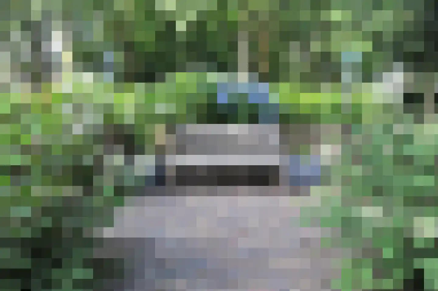 Kerkenbosweg 1 Zuidwolde thumbnail 78