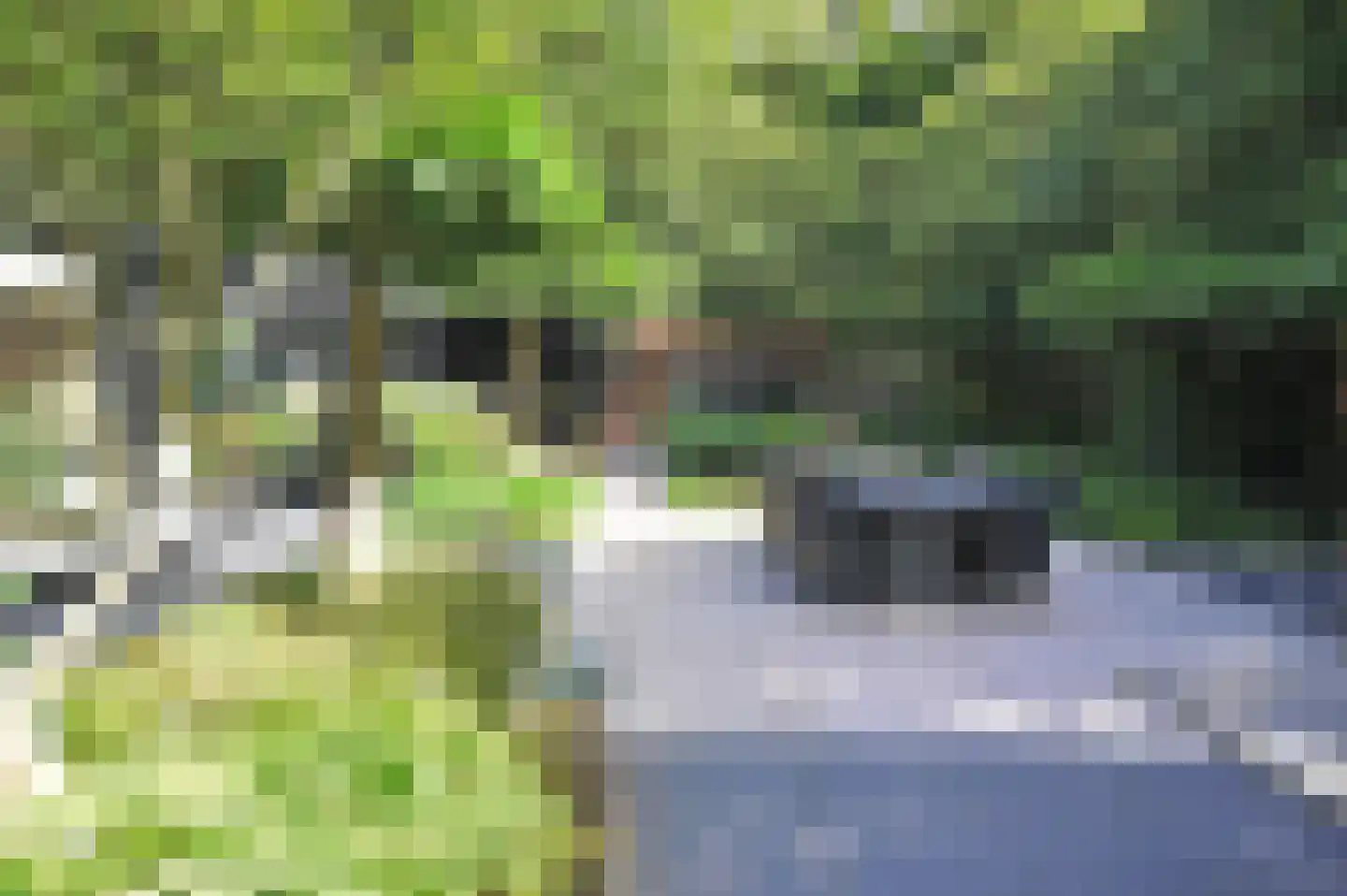 Kerkenbosweg 1 Zuidwolde thumbnail 8