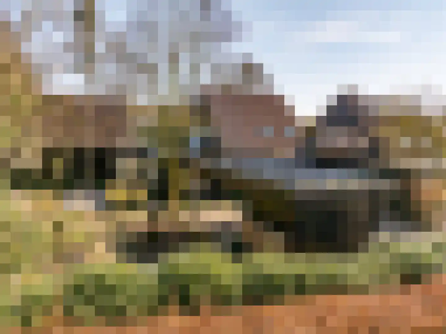 Kerkenbosweg 1 Zuidwolde thumbnail 8