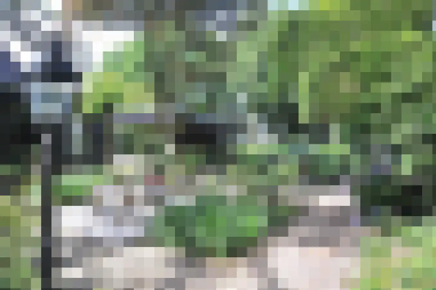 Kerkenbosweg 1 Zuidwolde thumbnail 80