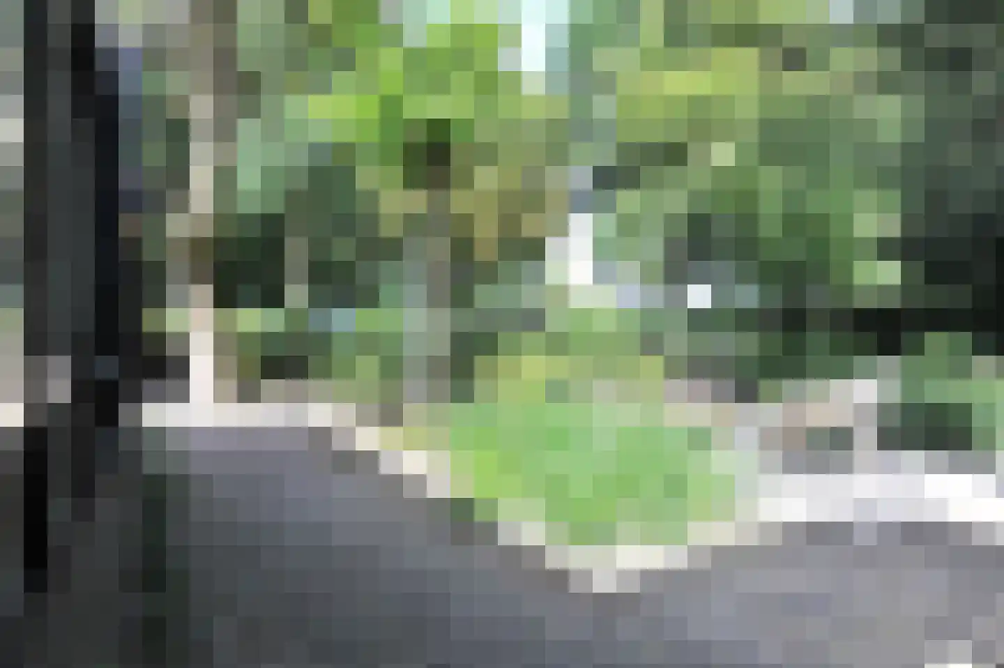 Kerkenbosweg 1 Zuidwolde thumbnail 81