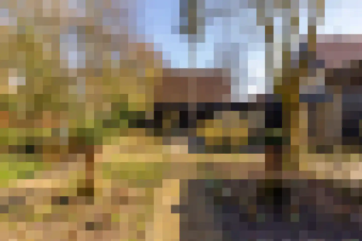 Kerkenbosweg 1 Zuidwolde thumbnail 81