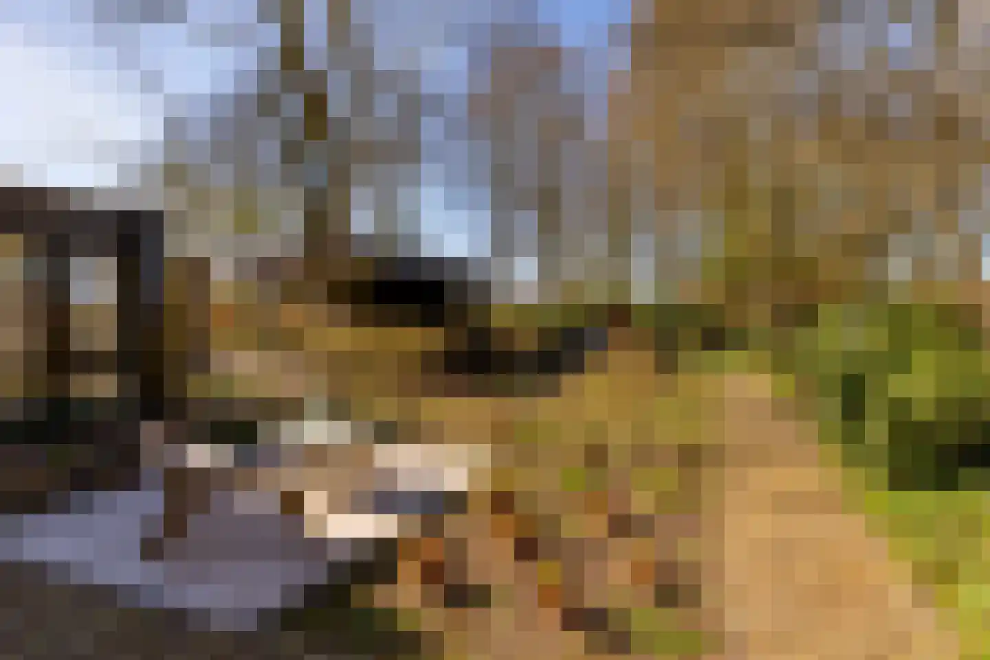 Kerkenbosweg 1 Zuidwolde thumbnail 82