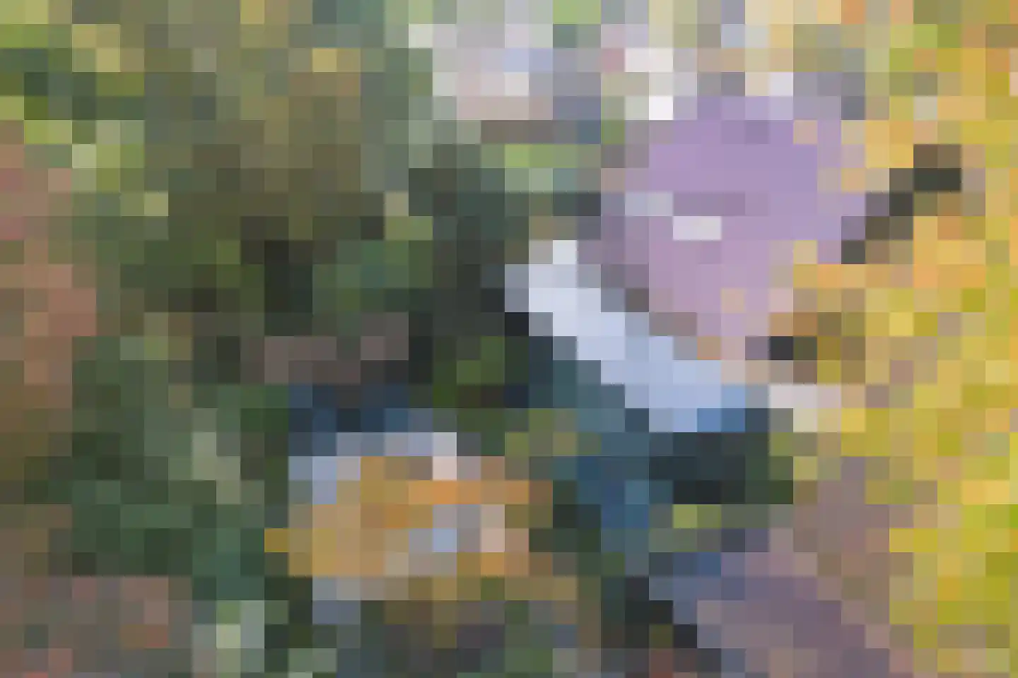 Kerkenbosweg 1 Zuidwolde thumbnail 83