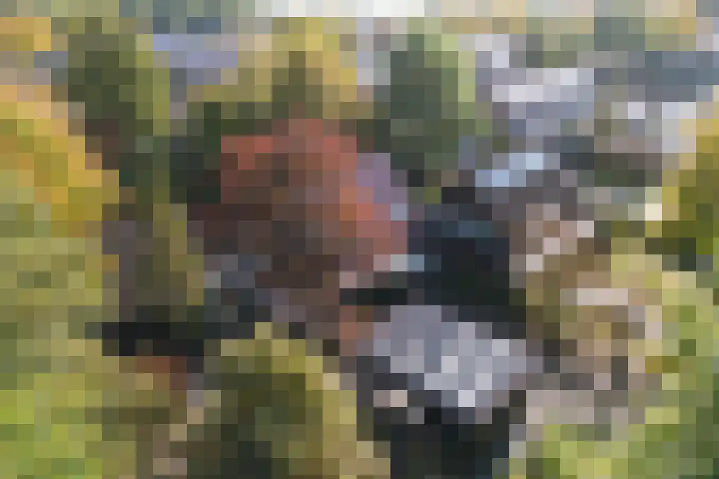 Kerkenbosweg 1 Zuidwolde thumbnail 84