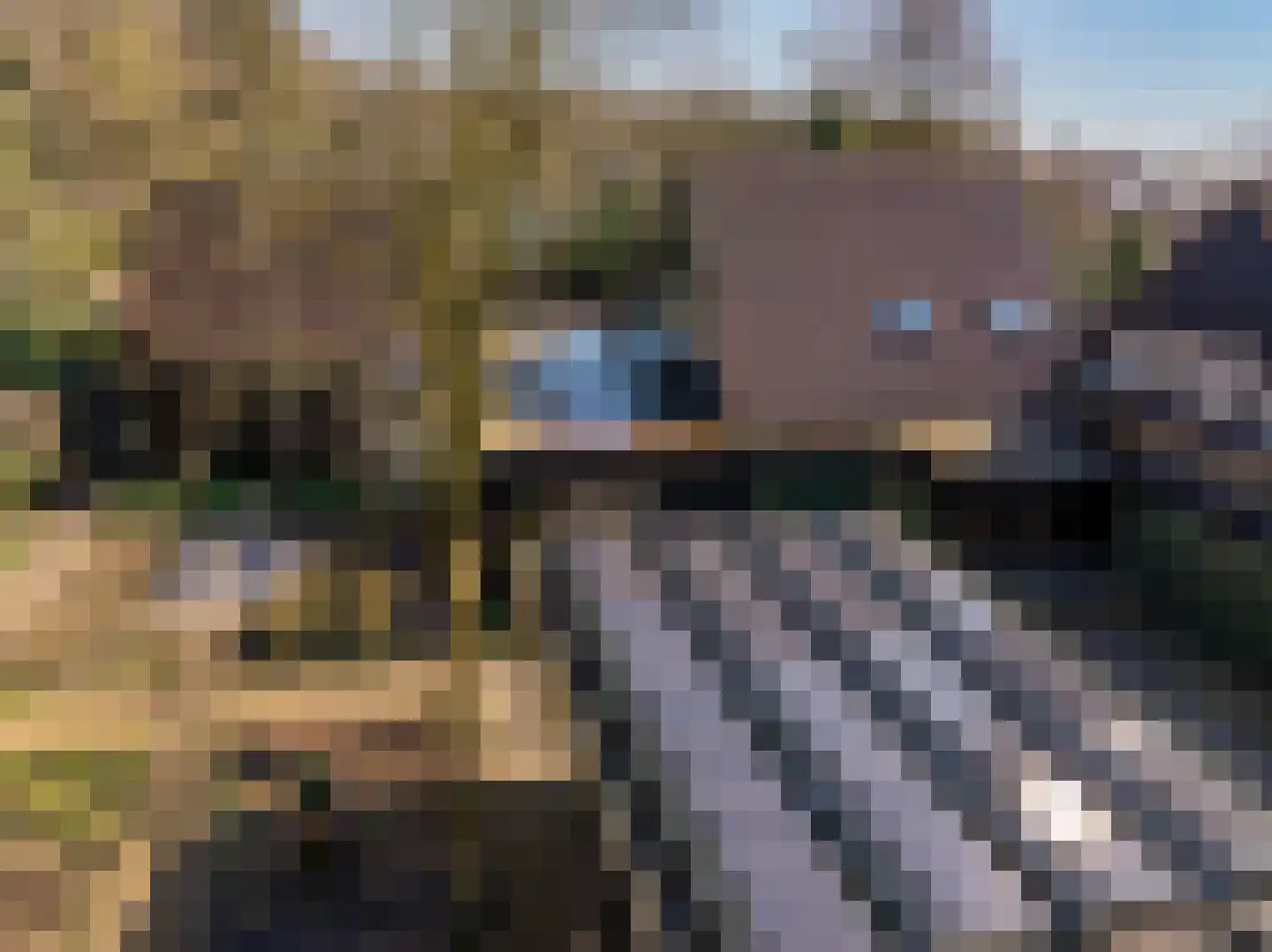 Kerkenbosweg 1 Zuidwolde thumbnail 84