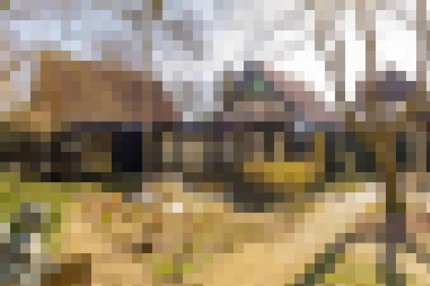 Kerkenbosweg 1 Zuidwolde thumbnail 85