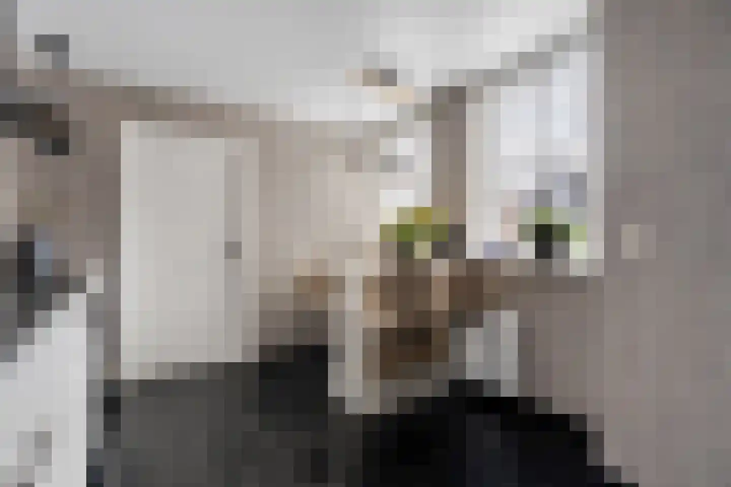 Kerkenbosweg 13 Zuidwolde thumbnail 14