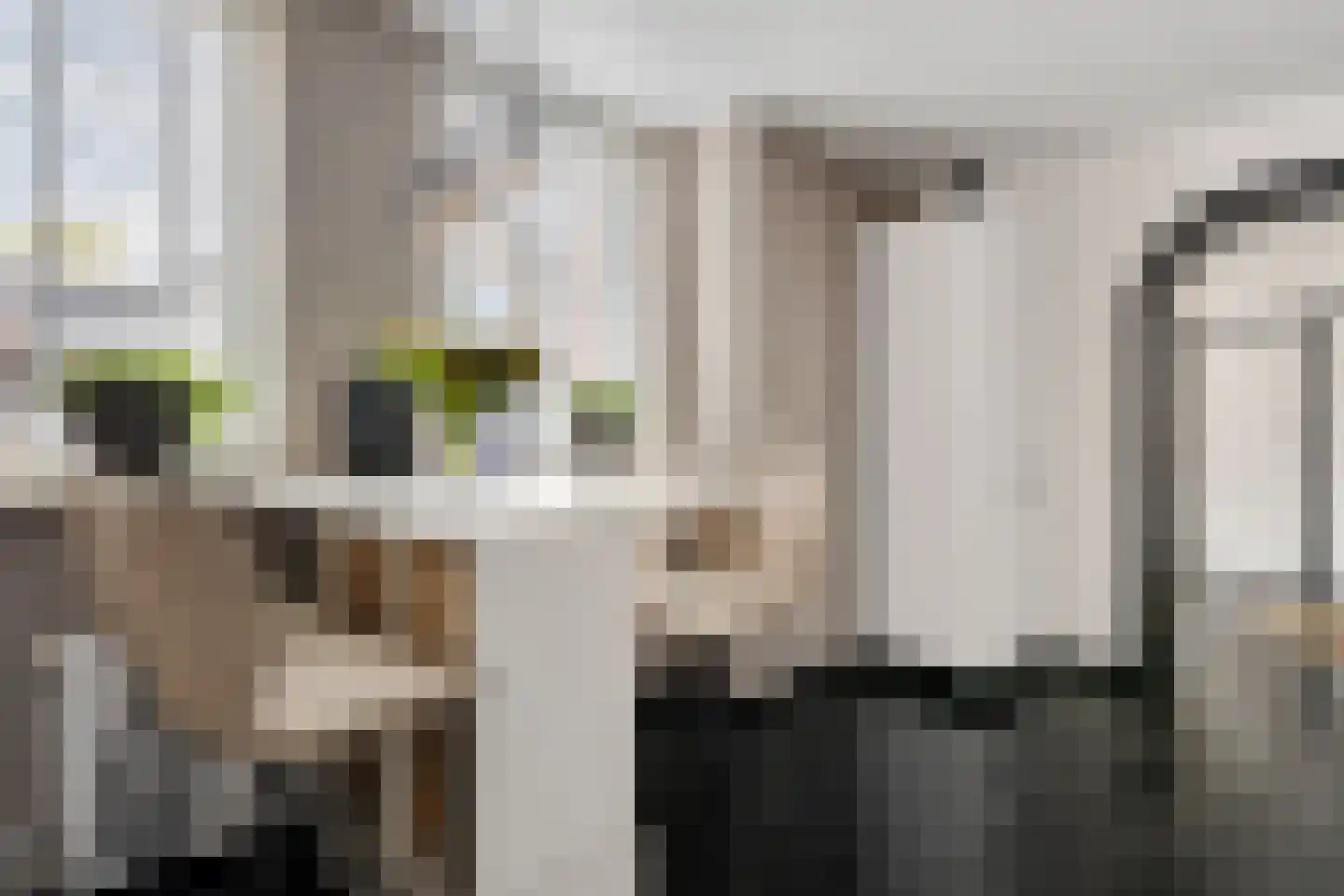 Kerkenbosweg 13 Zuidwolde thumbnail 15