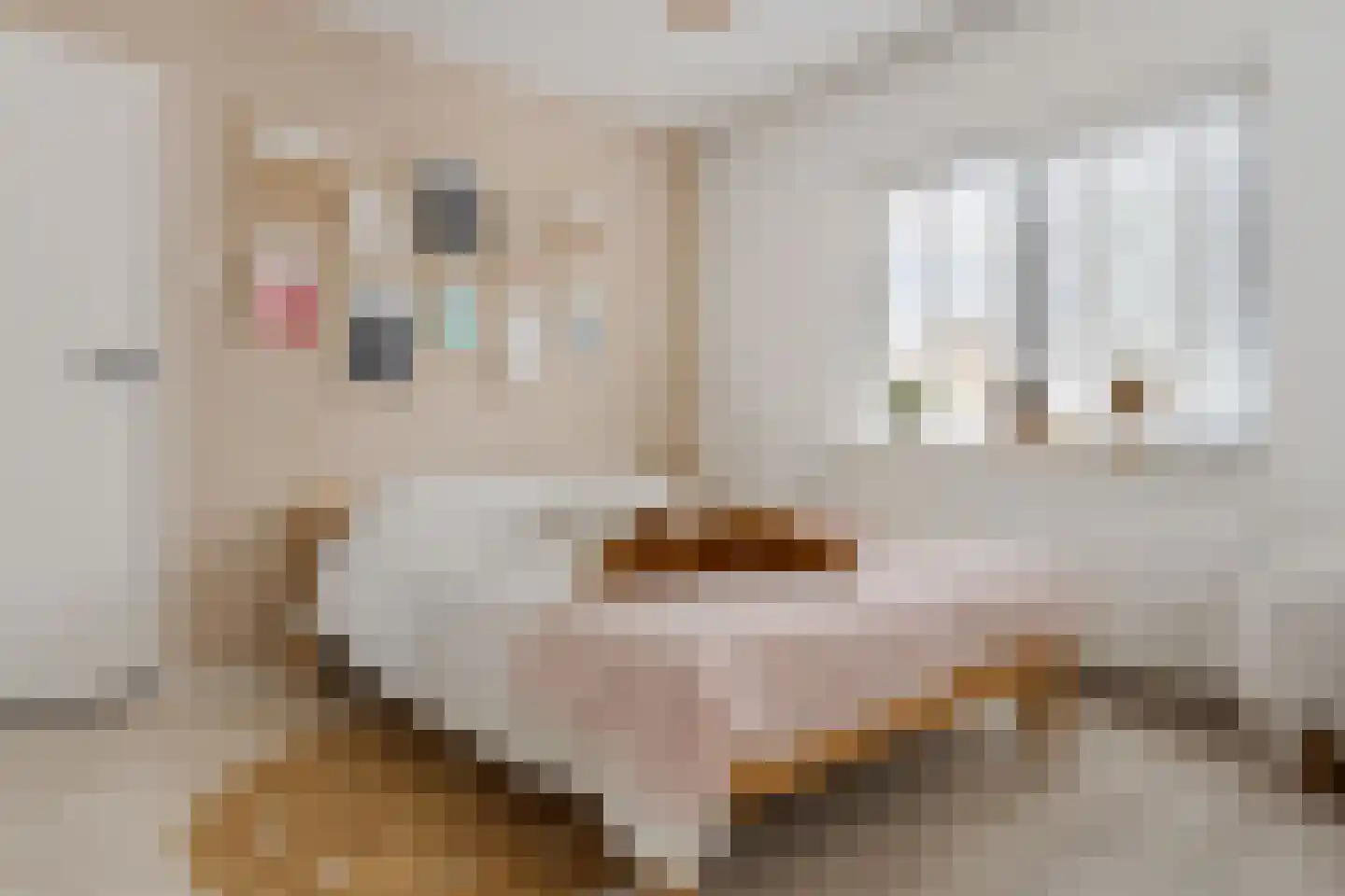 Kerkenbosweg 13 Zuidwolde thumbnail 25