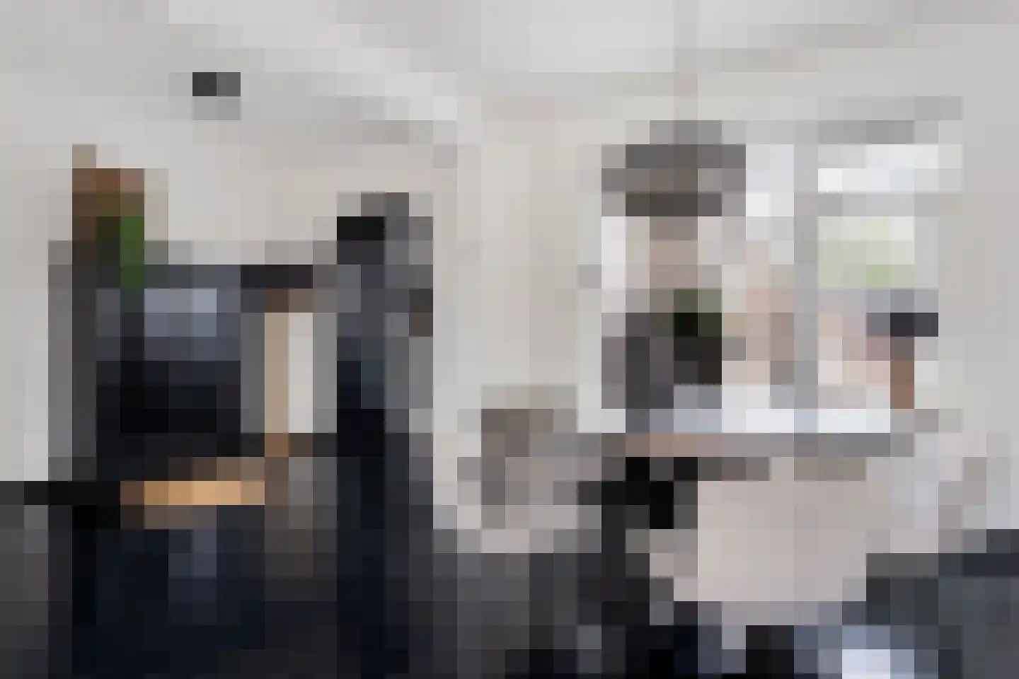 Kerkenbosweg 13 Zuidwolde thumbnail 9