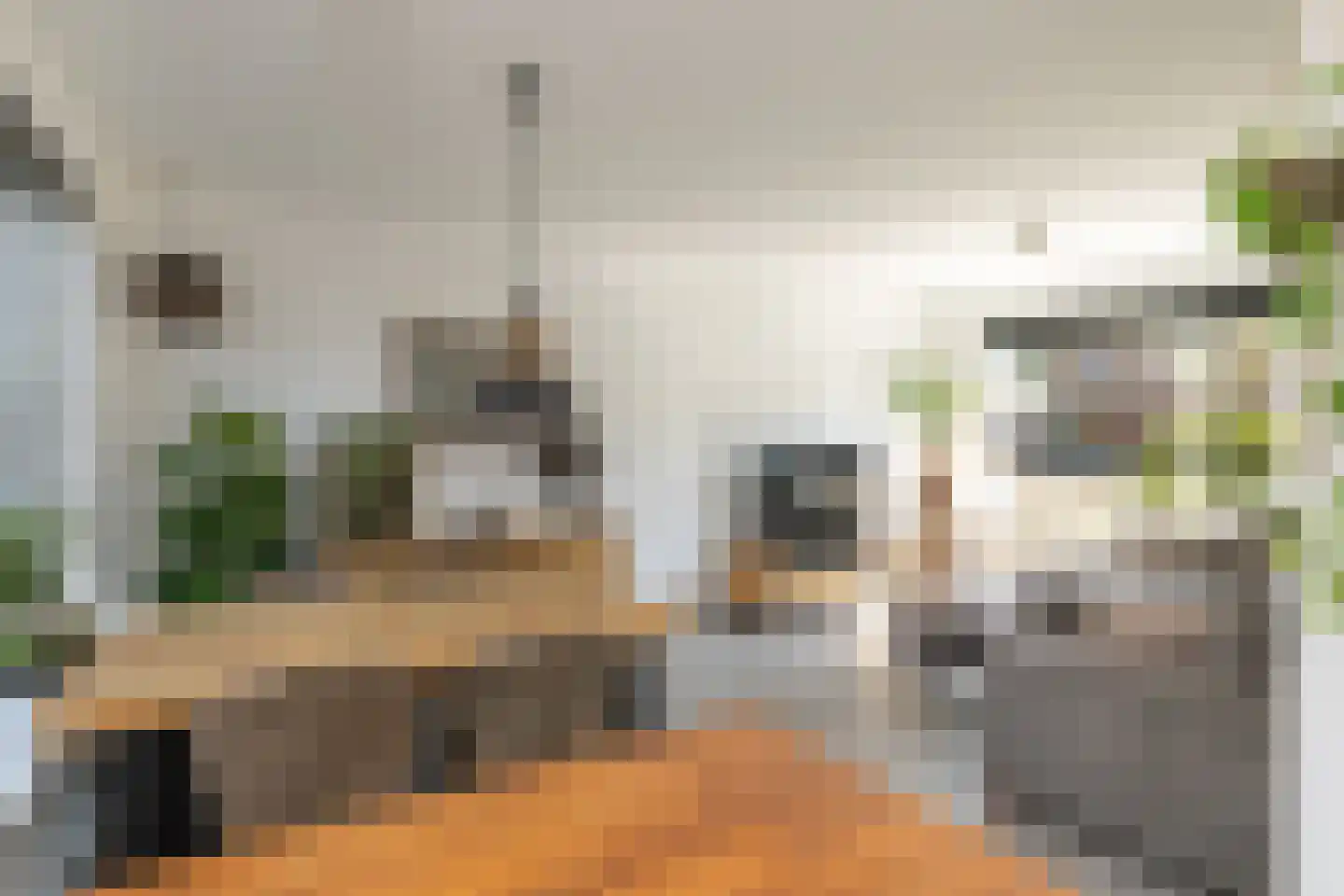 Kerkenbosweg 16 Zuidwolde thumbnail 11
