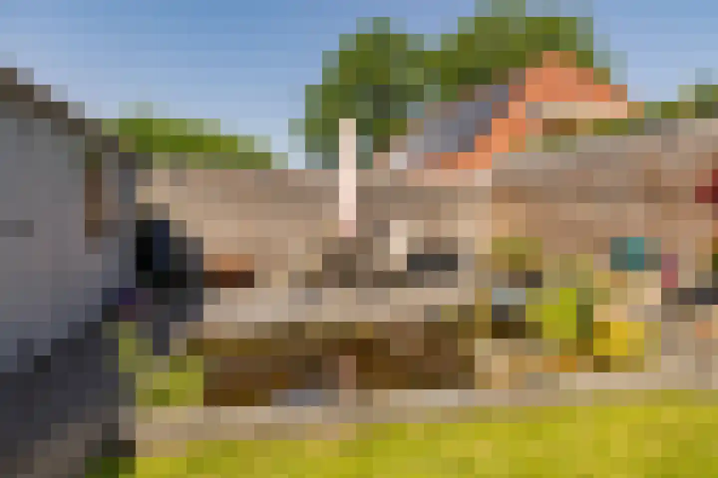 Kerkenbosweg 16 Zuidwolde thumbnail 42