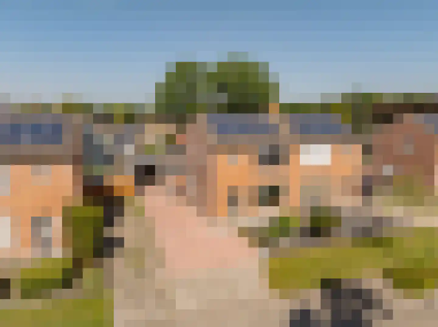 Kerkenbosweg 16 Zuidwolde thumbnail 6