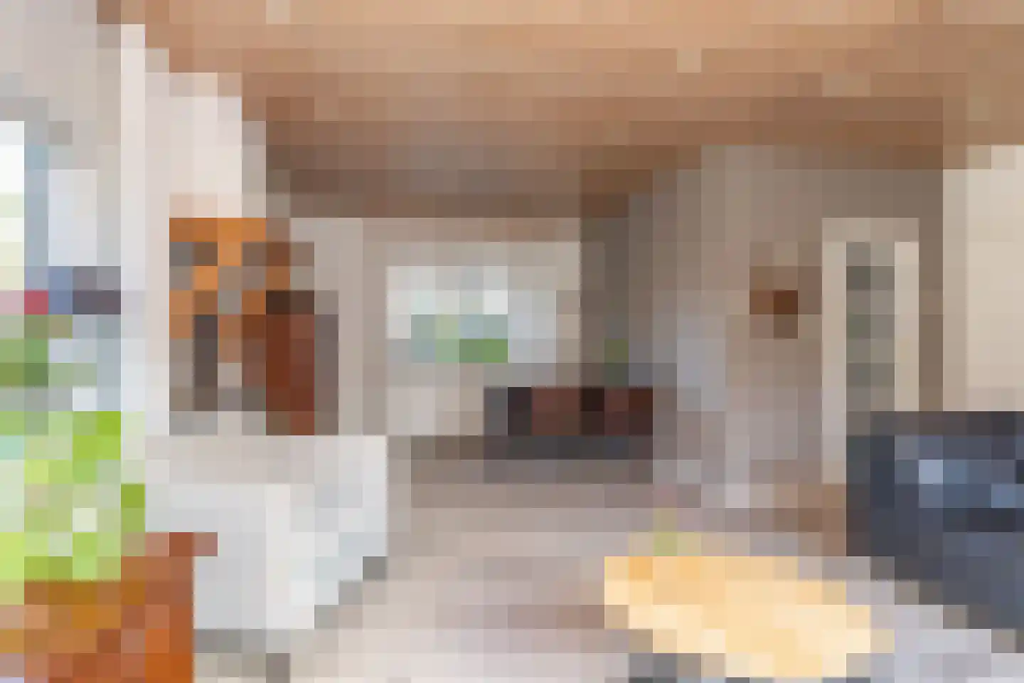 Kerkenbosweg 51 Zuidwolde thumbnail 10