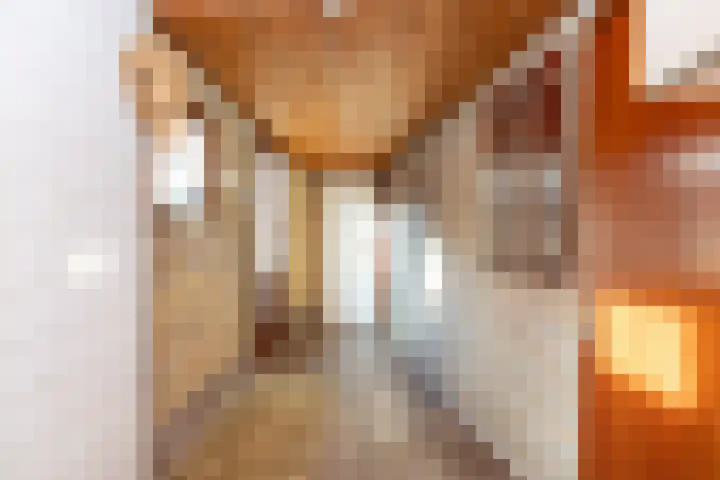 Kerkenbosweg 51 Zuidwolde thumbnail 23