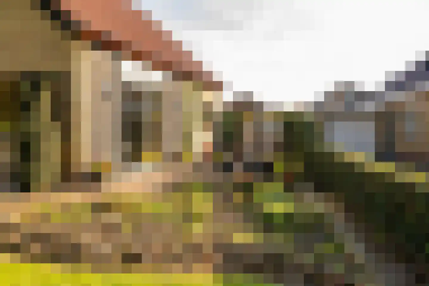 Kerkenbosweg 51 Zuidwolde thumbnail 40