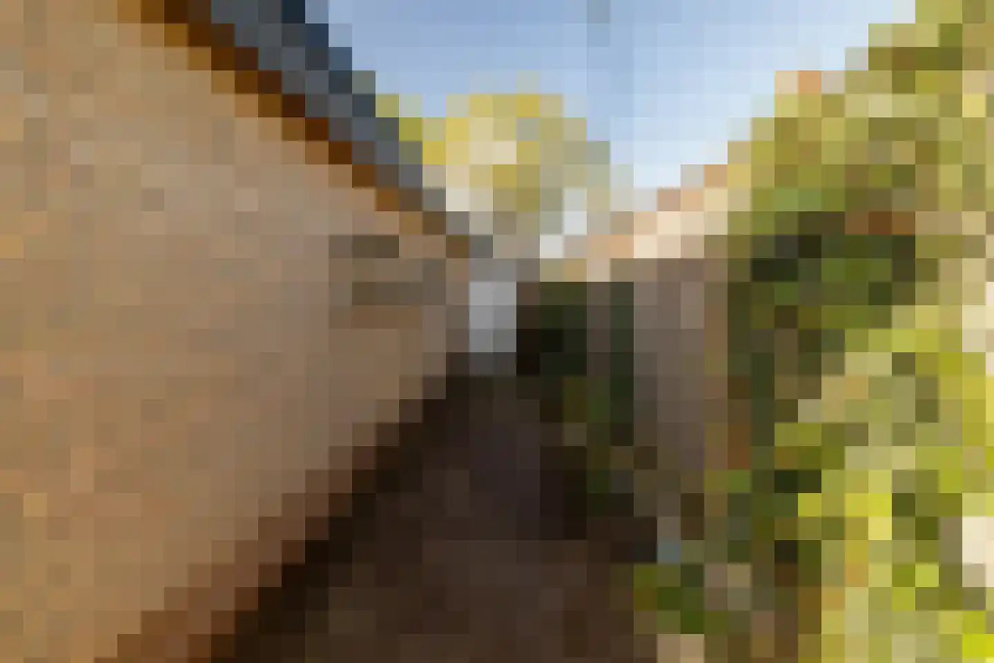 Kerkenbosweg 51 Zuidwolde thumbnail 46