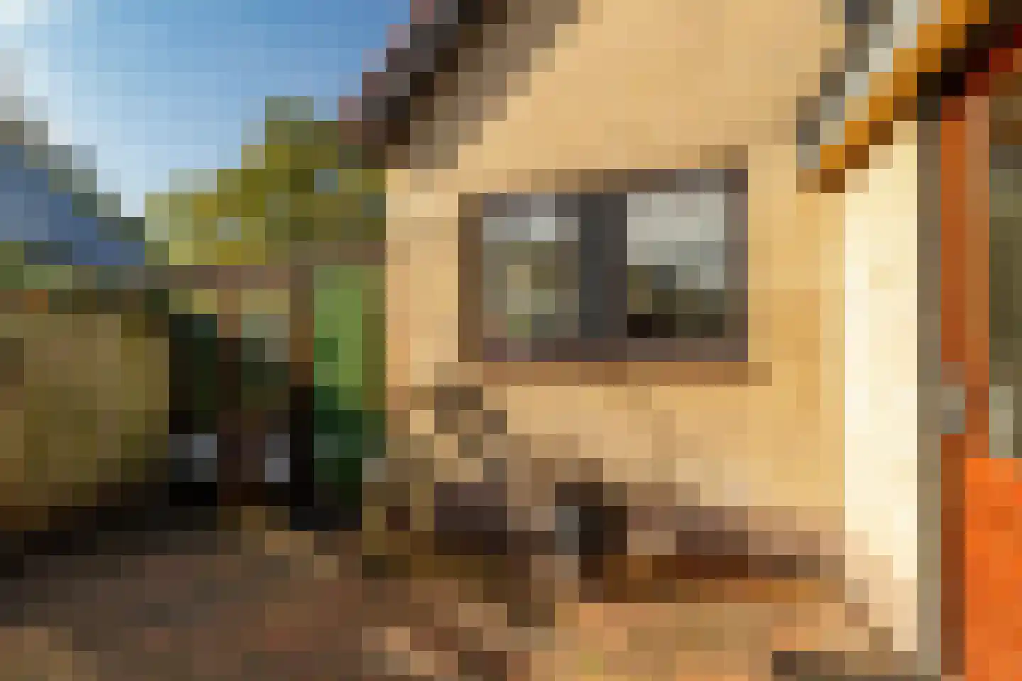 Kerkenbosweg 51 Zuidwolde thumbnail 47