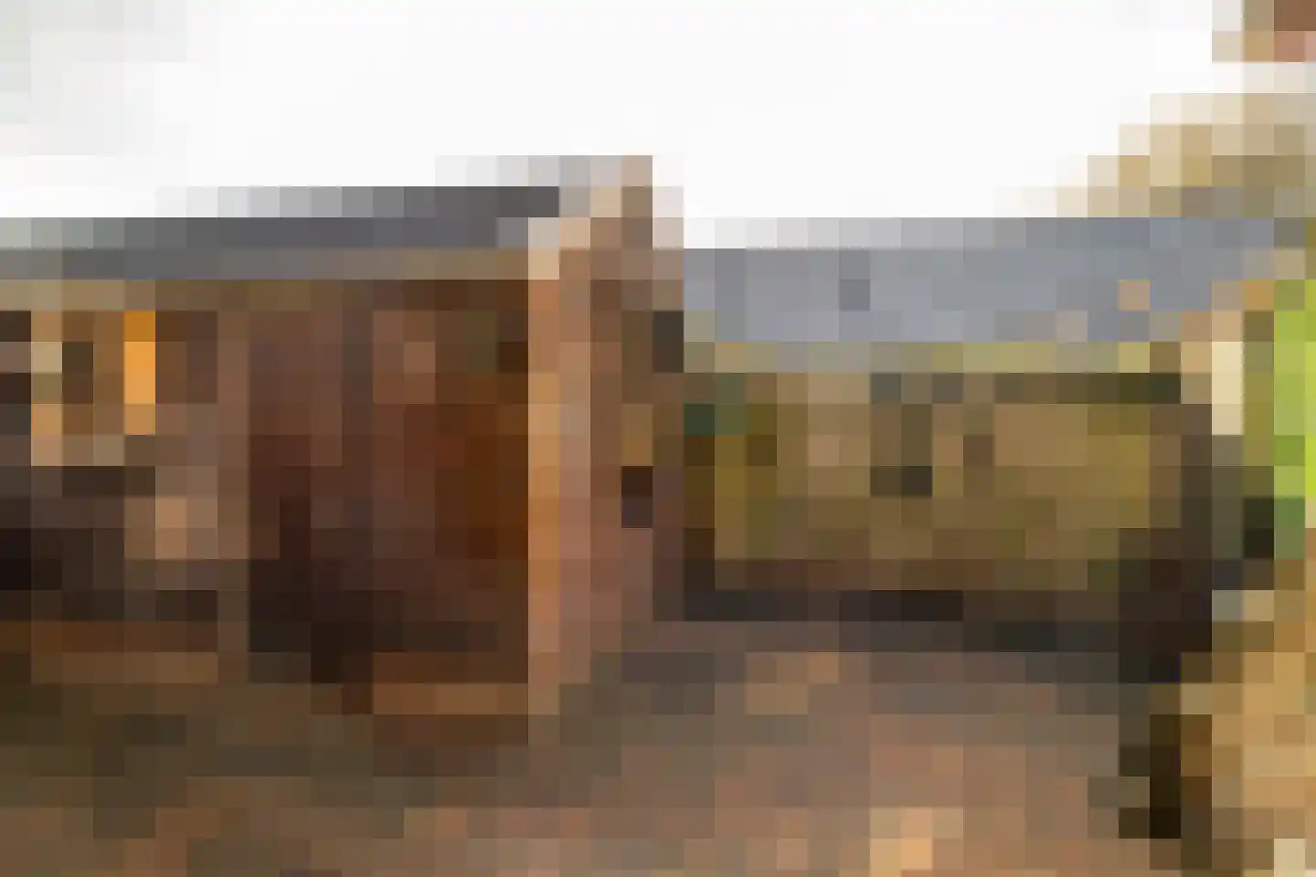 Kerkenbosweg 51 Zuidwolde thumbnail 48