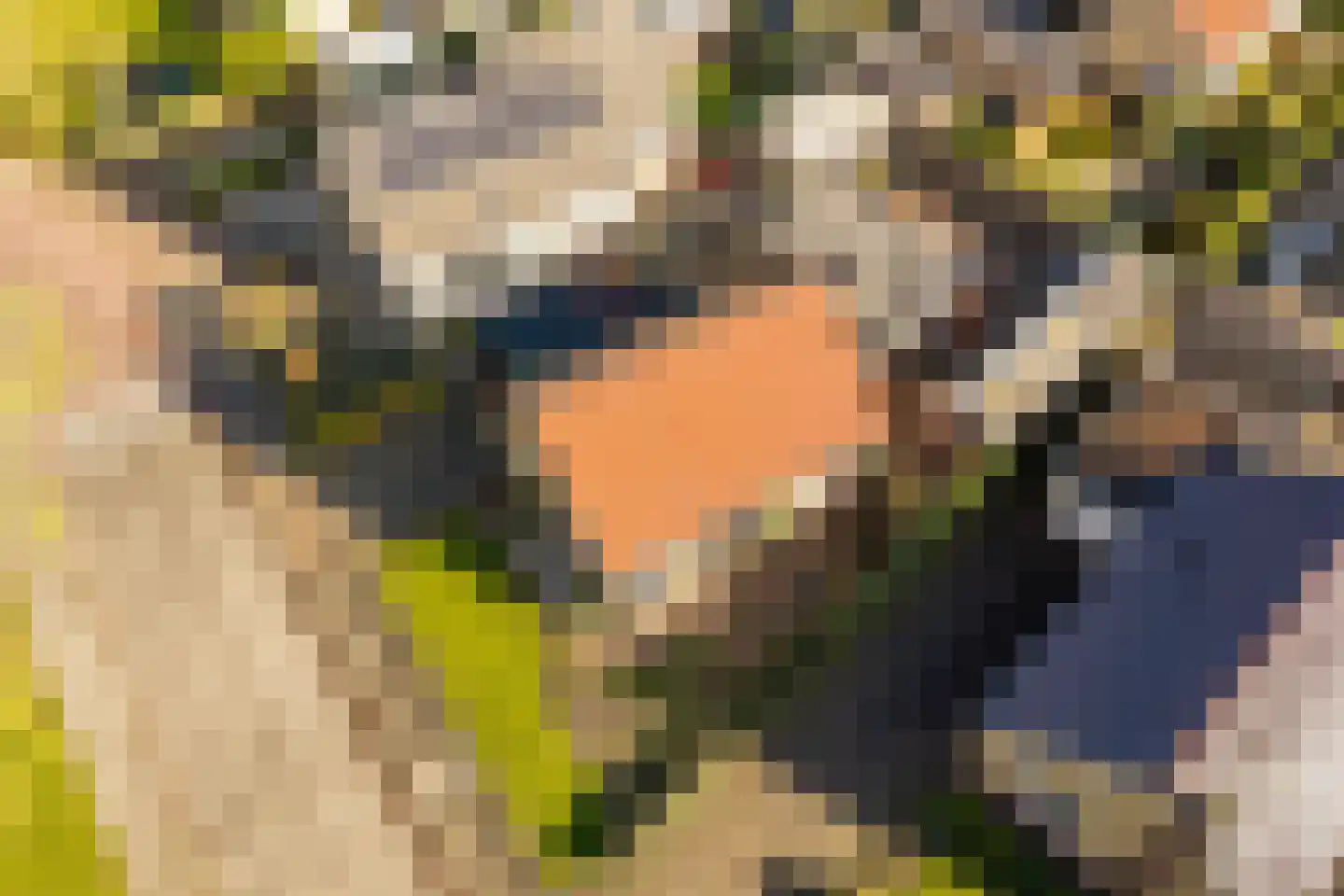Kerkenbosweg 51 Zuidwolde thumbnail 52
