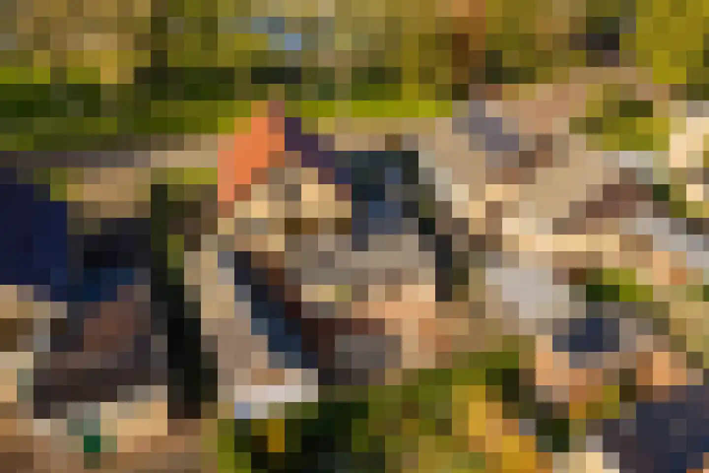 Kerkenbosweg 51 Zuidwolde thumbnail 53