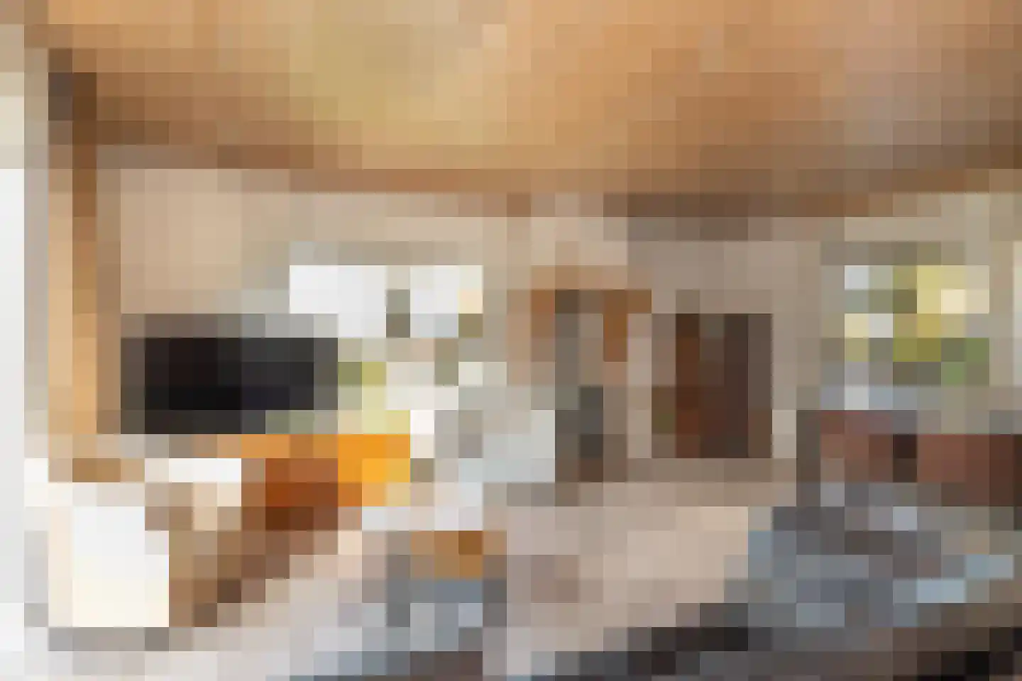 Kerkenbosweg 51 Zuidwolde thumbnail 8