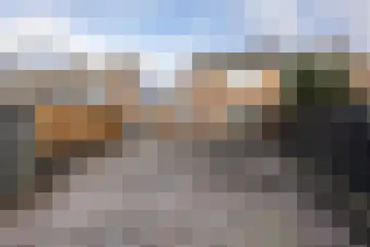 Kerkenbosweg 6 Zuidwolde thumbnail 14