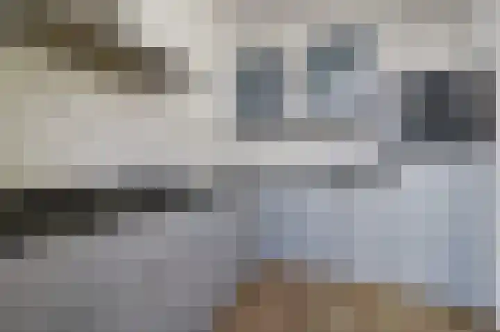 Kerkenbosweg 6 Zuidwolde thumbnail 15