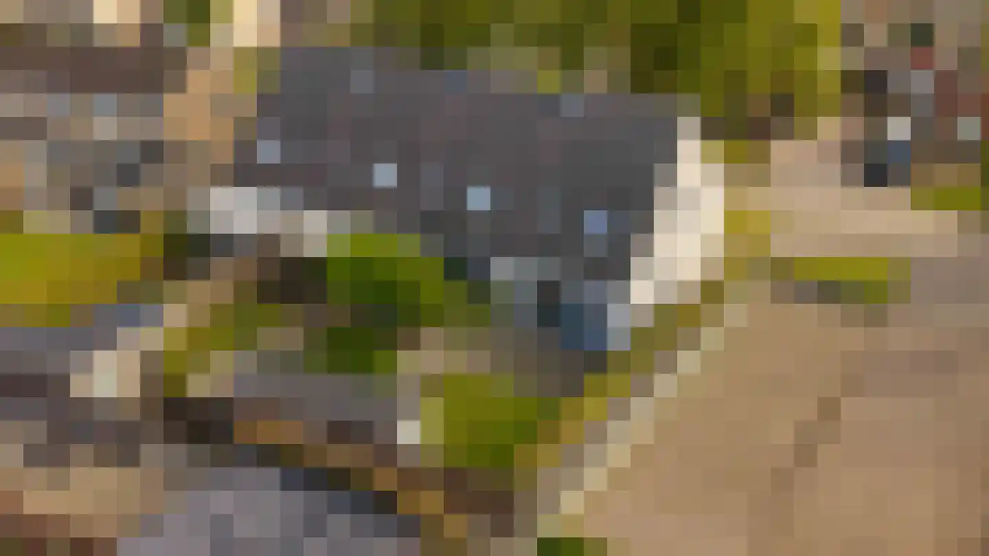 Kerkenbosweg 60 Zuidwolde thumbnail 35
