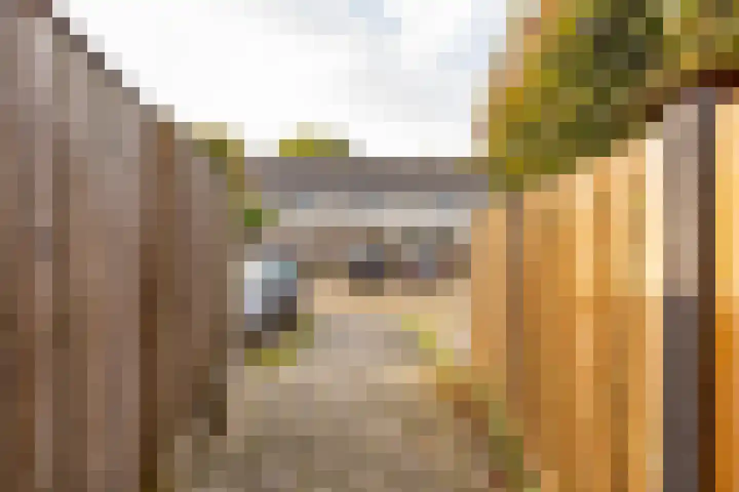 Kerkenbosweg 60 Zuidwolde thumbnail 39