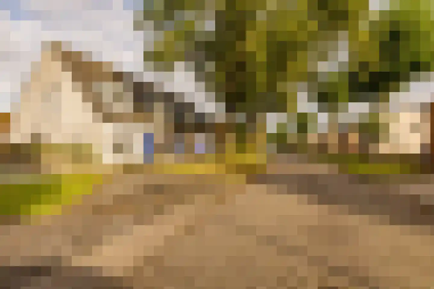 Kerkenbosweg 60 Zuidwolde thumbnail 42