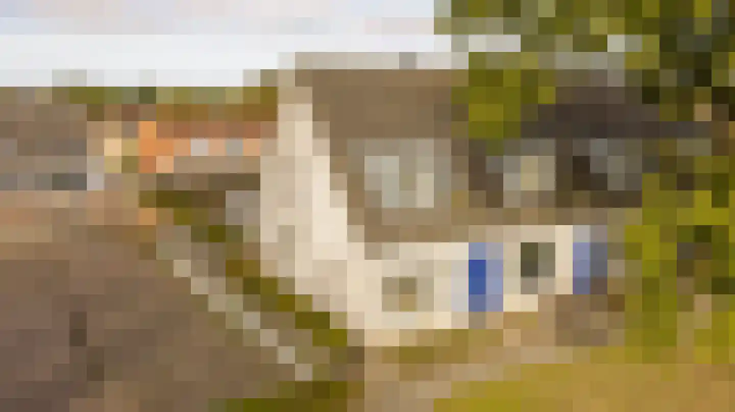 Kerkenbosweg 60 Zuidwolde thumbnail 7