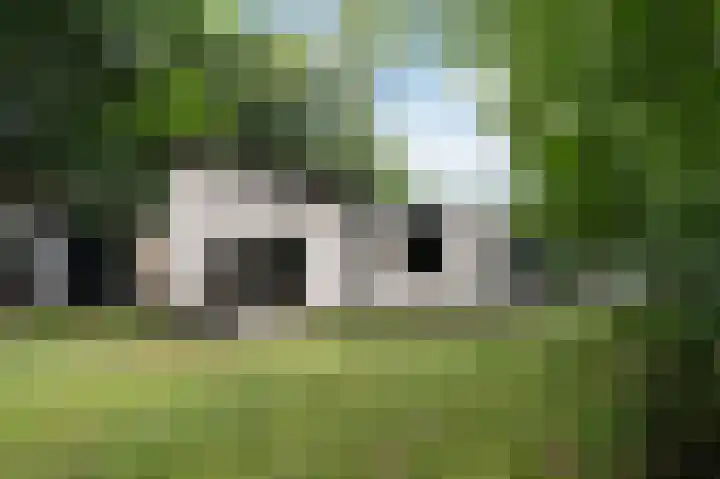 Kerkendelweg 30 02 Kootwijk thumbnail 26