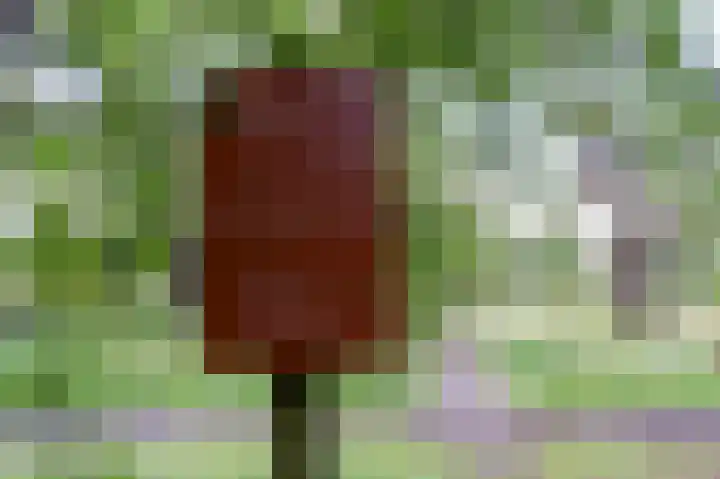 Kerkendelweg 30 02 Kootwijk thumbnail 34