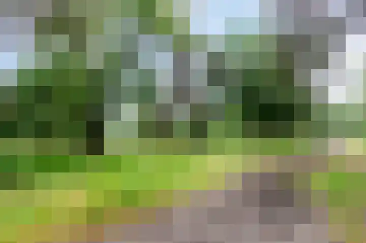 Kerkendelweg 30 02 Kootwijk thumbnail 35