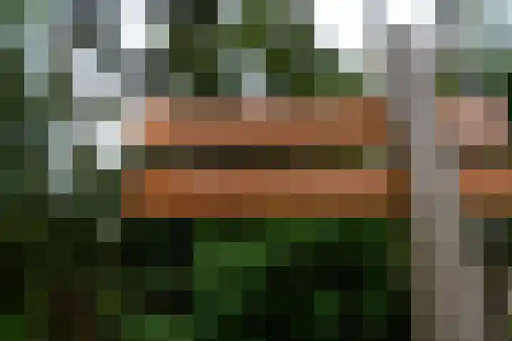 Kerkendelweg 30 02 Kootwijk thumbnail 36