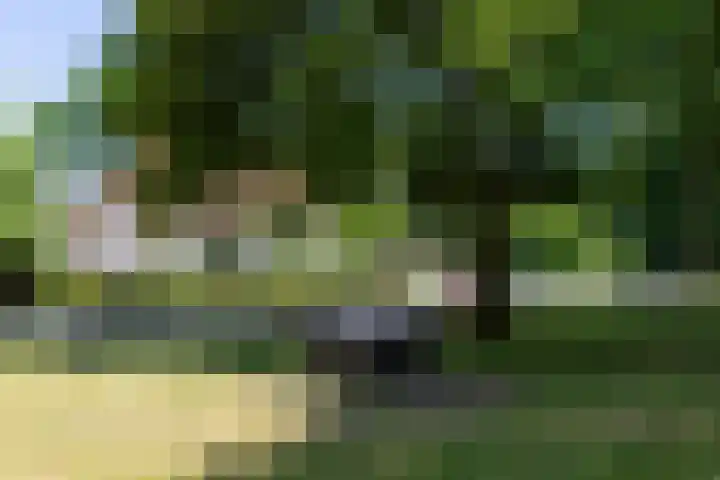 Kerkendelweg 30 02 Kootwijk thumbnail 41