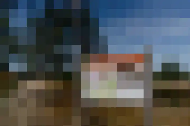 Kerkendelweg 30 02 Kootwijk thumbnail 44