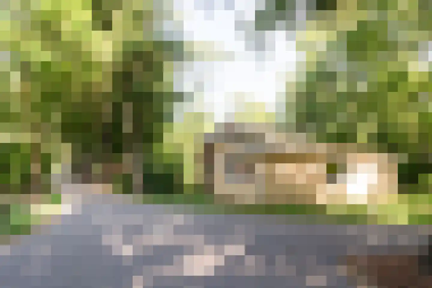 Kerkendelweg 30 106 Kootwijk thumbnail 24